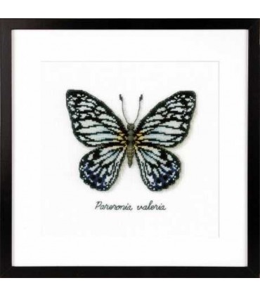 La Maison Victor - Kit point compté : Pareronia Valeria