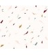 ATELIER BRUNETTE : Tabby SHELL