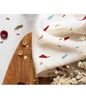 ATELIER BRUNETTE : Tabby SHELL