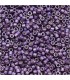 MIYUKI DELICAS 11/0 - Galvanized matte eggplant