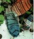 LANG YARNS : Punto 34 - How to knit socks