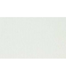 Velours de Coton Strech Lavé - CRÉME