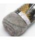PLASSARD Alpaga GRIS CHINE CLAIR