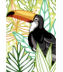 SEG : Canevas Oiseau Toucan