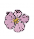 Thermocollant - Fleur rose pastel