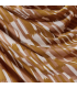 ATELIER BRUNETTE modal de viscose : IMANY PECAN PIE