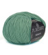 PLASSARD : Biosoft - EUCALYPTHUS