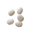 Perles Acryliques Ovales Plates - CRÈME