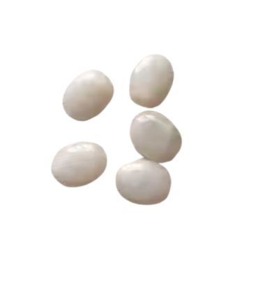 Perles Acryliques Ovales Plates - CRÈME