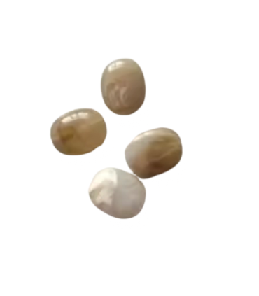 Perles Acryliques Ovales Plates - MARRON CLAIR