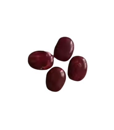 Perles Acryliques Ovales Plates - BORDEAUX