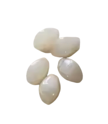 Perle Acrylique Losange - CREME