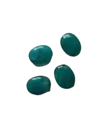 Perles Acryliques Ovales Plates - BLEU CANARD