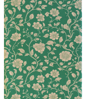 Madame IRIS : Popeline de coton bio - AMY
