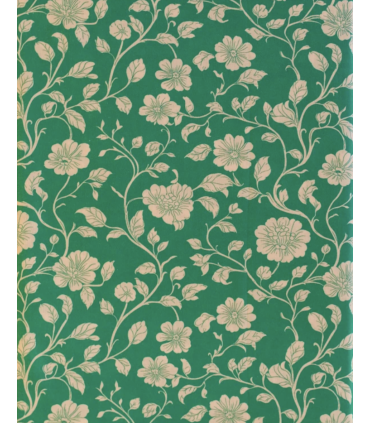 Madame IRIS : Popeline de coton bio - AMY