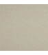 Sweat Éponge - Léopard - BEIGE