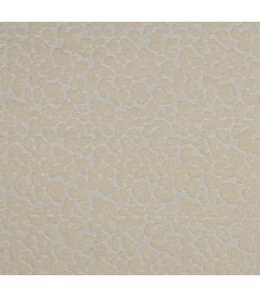 Sweat Éponge - Léopard - BEIGE