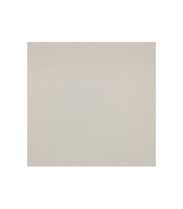 Jersey Tencel Uni - BEIGE