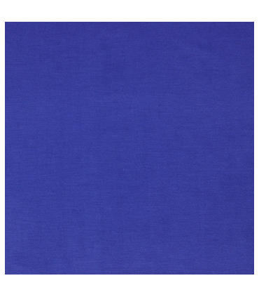 Jersey Tencel Uni - BLEU ROI