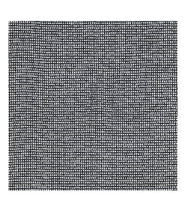 Tissu filet en coton - NOIR