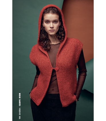 LANG YARNS : Catalogue FAM 286