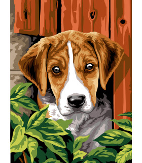 SEG : Canevas LA CACHETTE