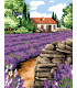 Margot : Canevas LE MUR AUX LAVANDES