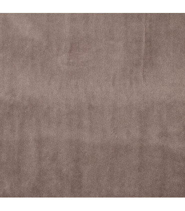 Velours Rat - TAUPE