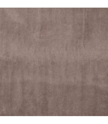 Velours Rat - TAUPE
