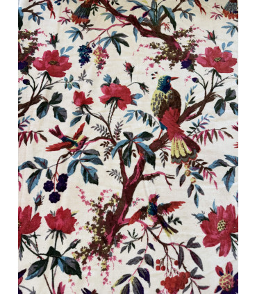 Velours de coton Indien Oiseaux - POUDRE