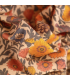 Madame IRIS : Flanelle  de coton bio - SOLEA