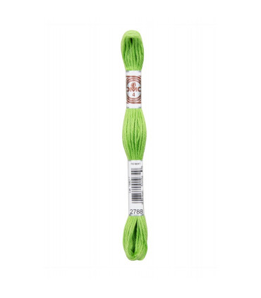 DMC Retors Mat  - 2788- Citron Vert