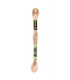 DMC Mouliné Spécial 25 - Article 117 - 754 - BEIGE ROSÉ