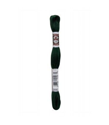 DMC Retors Mat  - 2890 - VERT RUBIS