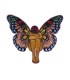 Thermocollant -Enfant - Papillon