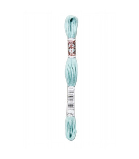 DMC Retors Mat  - 2599 - CASCADE BLEUE