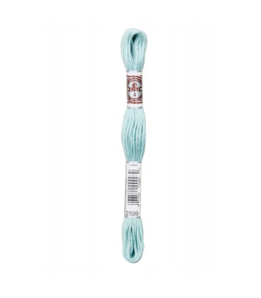 DMC Retors Mat  - 2599 - CASCADE BLEUE