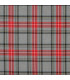 Écossais GRIS