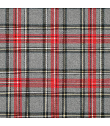 Écossais GRIS