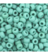 MIYUKI ROCAILLES 6/0 - Opaque matte turquoise green