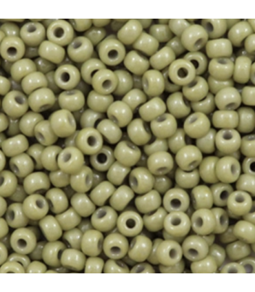 MIYUKI ROCAILLES 8/0 - Duracoat opaque cactus green