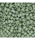 MIYUKI ROCAILLES 8/0 - Opaque glazed frosted pistachio green