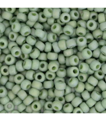 MIYUKI ROCAILLES 8/0 - Opaque glazed frosted pistachio green